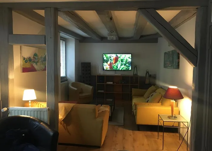 La Grenouillere Apartment Colmar